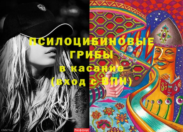 PSILOCYBIN Аркадак
