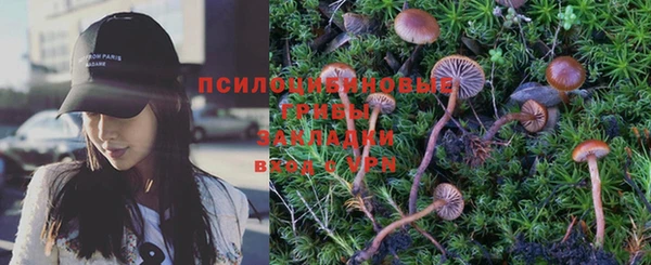 PSILOCYBIN Аркадак