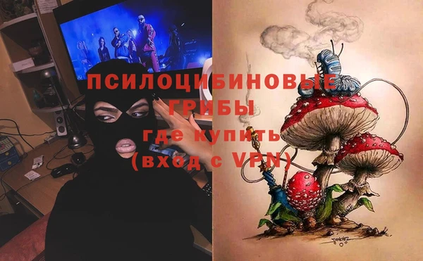 PSILOCYBIN Аркадак