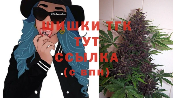 крисы Армянск