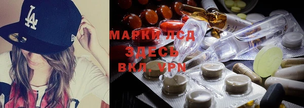 крисы Армянск