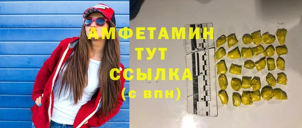 крисы Армянск